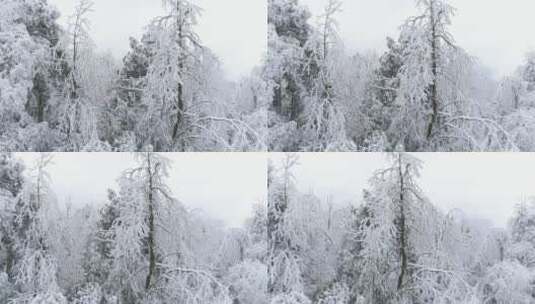 航拍山林雪景高清在线视频素材下载