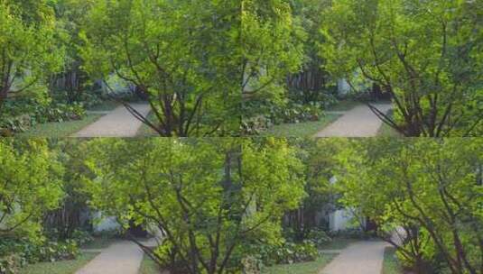 古建筑园林空镜唯美意境实拍高清在线视频素材下载