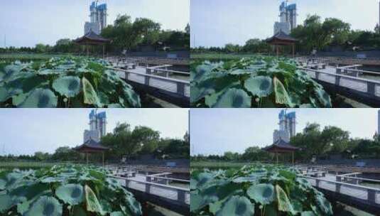 武汉汉阳莲花湖公园风景高清在线视频素材下载