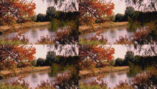 油画般的圆明园秋天一角高清在线视频素材下载