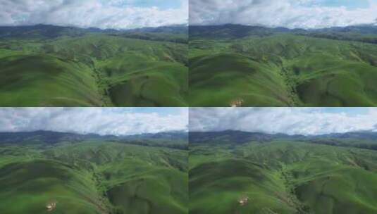 航拍新疆伊犁那拉提空中草原自然风光高清在线视频素材下载