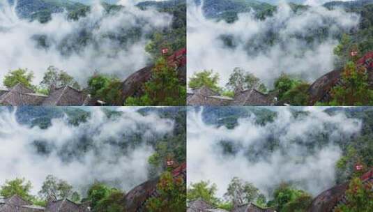 森林云雾高清在线视频素材下载