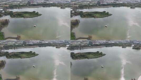 广州海珠湖公园航拍高清在线视频素材下载