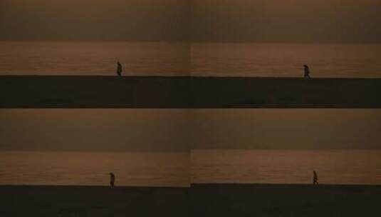 夕阳下湖边散步的恋人高清在线视频素材下载