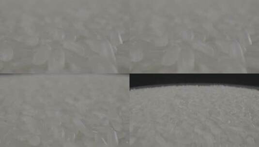 水稻稻米影棚旋转拍摄LOG视频素材高清在线视频素材下载