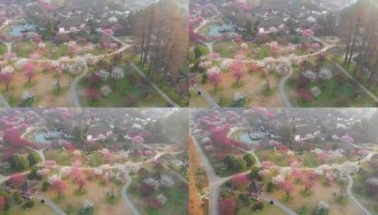 武汉东湖梅园春季风光高清在线视频素材下载
