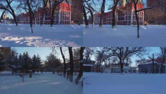冬天公园老树小河雪景高清在线视频素材下载