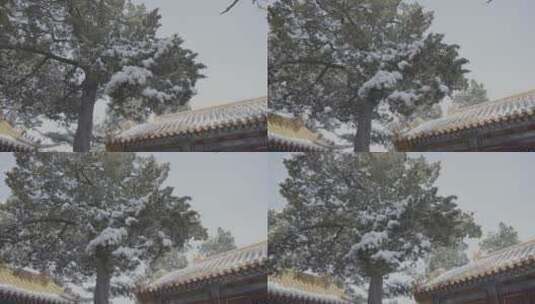 北京雪景 北京下雪高清在线视频素材下载