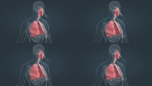 医学人体呼吸系统肺呼吸肺活量深呼吸动画高清在线视频素材下载