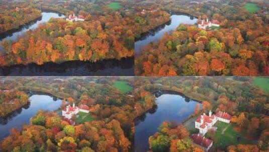 空中飞越美丽的秋天森林和城堡高清在线视频素材下载