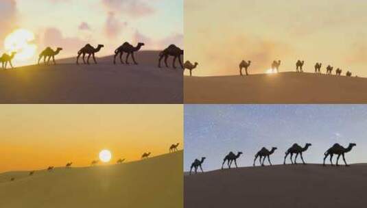 夕阳日落下的沙漠骆驼队剪影高清在线视频素材下载