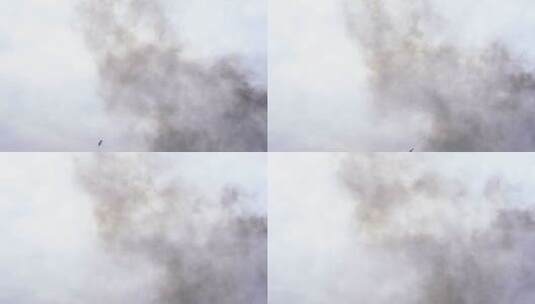 烟雾污染高清在线视频素材下载
