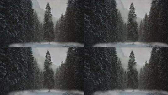 雪花 森林 下雪 冬天高清在线视频素材下载