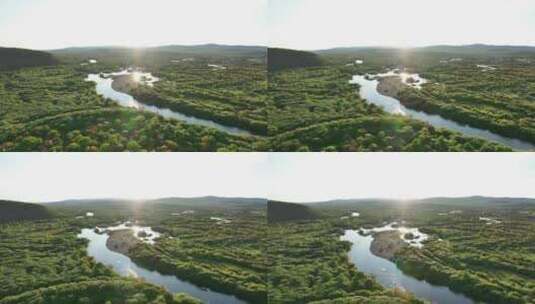 大兴安岭寒温带森林秋季河流高清在线视频素材下载
