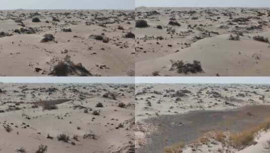 航拍新疆秋天沙漠高清在线视频素材下载