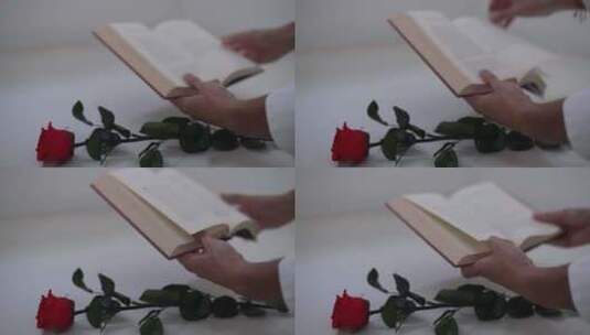 收到玫瑰花的女子在图书馆看书高清在线视频素材下载