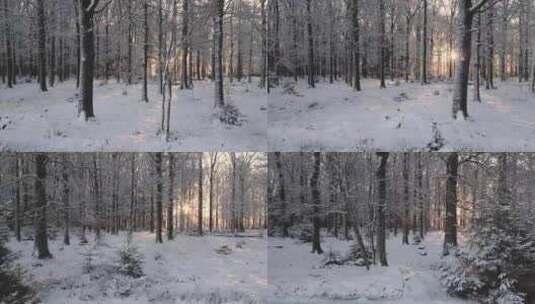 低空拍摄日出前的森林大雪高清在线视频素材下载