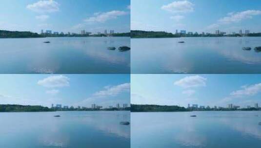 广州海珠湖公湖泊树林与城市高楼建筑景观高清在线视频素材下载