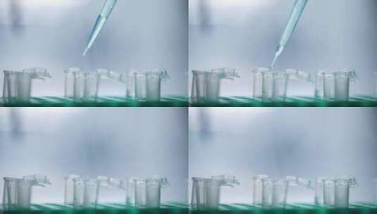 生物化学实验室移液器做实验高清在线视频素材下载