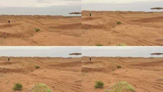 内蒙古库布齐沙漠高清在线视频素材下载