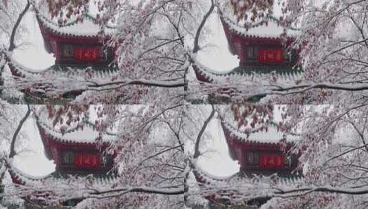 湖南长沙岳麓山爱晚亭雪景实拍视频高清在线视频素材下载