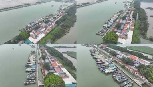 中国广州市万顷沙十九涌水产品交易码头高清在线视频素材下载
