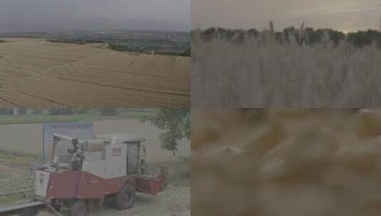 乡村振兴乡村生活农民耕种3（未调色版）高清在线视频素材下载