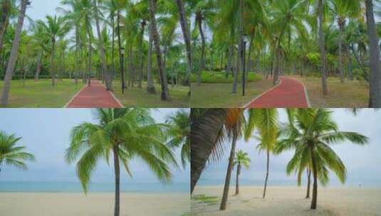 海南三亚海边沙滩椰梦长廊椰树椰子树椰林高清在线视频素材下载