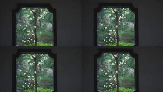 园林窗户风景高清在线视频素材下载