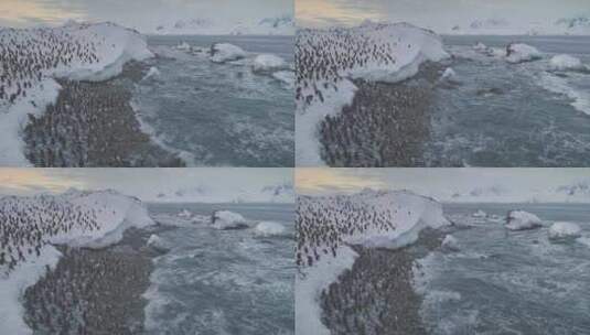 南极洲企鹅在积雪覆盖的海面上空中飞行高清在线视频素材下载