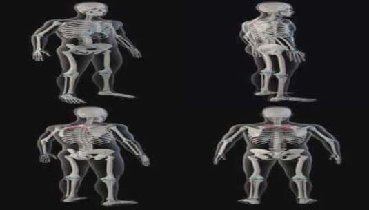 Rohmboid小肌肉在整个人体垂直视频高清在线视频素材下载