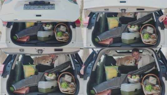 带着狗的男孩坐在装满野餐食物的汽车后备箱高清在线视频素材下载