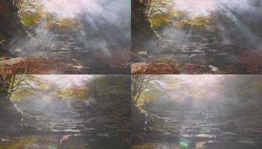秋天的风景。秋天森林里的浓雾。高清在线视频素材下载