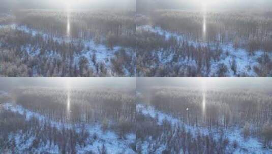 飘落雪晶的阳光雪林高清在线视频素材下载