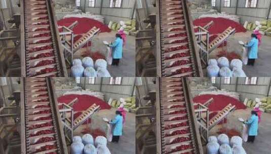 农村农民辣椒种植加工丰收景象高清在线视频素材下载