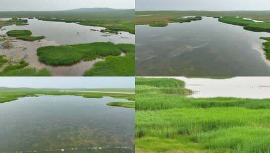 湿地湖泊河流生态自然水鸟候鸟大雁飞翔高清在线视频素材下载