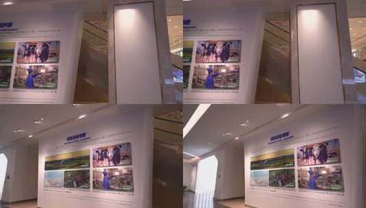 君乐宝展示大厅 君乐宝 乳业企业 展示大厅高清在线视频素材下载