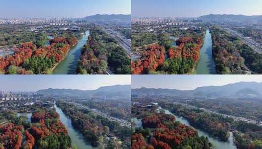 中国杭州西溪湿地秋日美景航拍高清在线视频素材下载