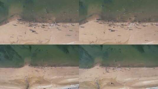 合集俯拍海边海鸥大海海浪沙滩高清在线视频素材下载