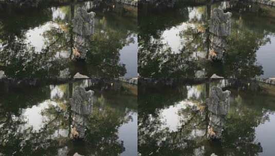 阳光绿植太湖石园林庭院水景沉浸式氛围高清在线视频素材下载