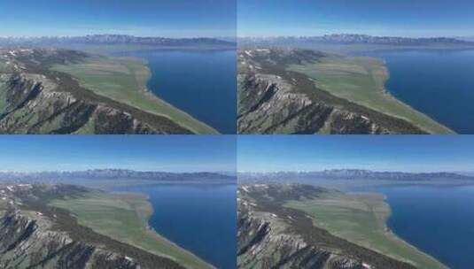 新疆赛里木湖 晴天 高山草原 云杉树高清在线视频素材下载