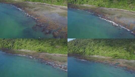 澳大利亚北昆士兰热带森林中大堡礁的海角灾高清在线视频素材下载