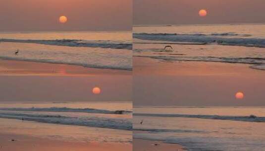 日落下的海景高清在线视频素材下载