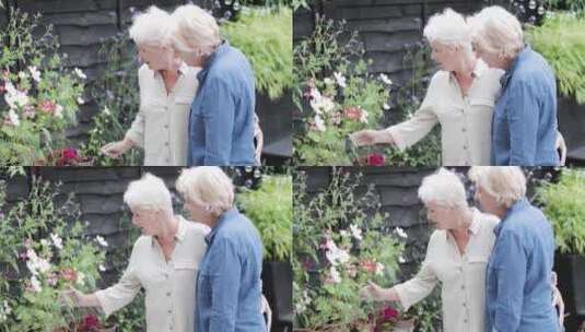 两个女性老人赏花高清在线视频素材下载