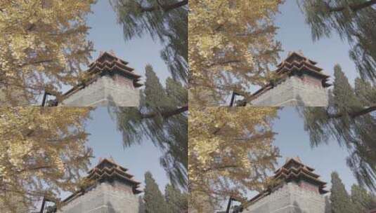 北京紫禁城游玩故宫博物院旅行4K实拍高清在线视频素材下载