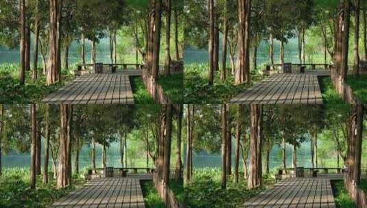 68 杭州 古风 风景 早晨 小道 树林高清在线视频素材下载