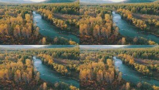 航拍大兴安岭秋季林海河流风景高清在线视频素材下载