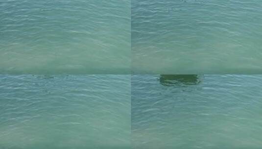 乌篷船水中前行慢镜头升格特写高清在线视频素材下载