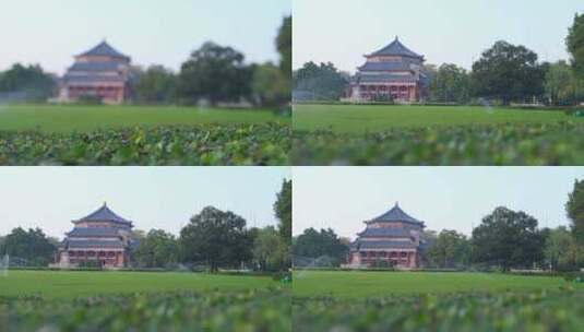 广州中山纪念堂绿色草地树林风光高清在线视频素材下载