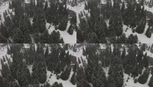 冬天有一条河的森林高清在线视频素材下载